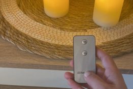 telecommande-led-appartement-perchoir