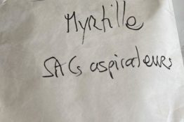 sac-aspirateur-appartement-myrtille