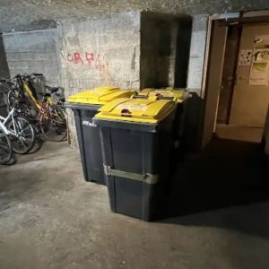 acces-local-poubelle-etape-3-appartement-pop-art