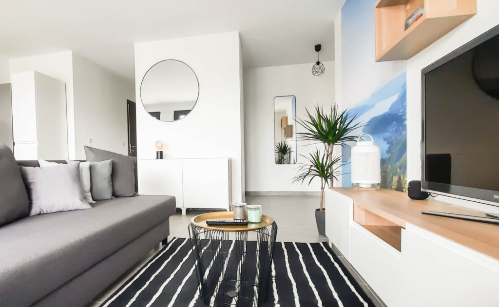 salon-appartement-capucins-annecy