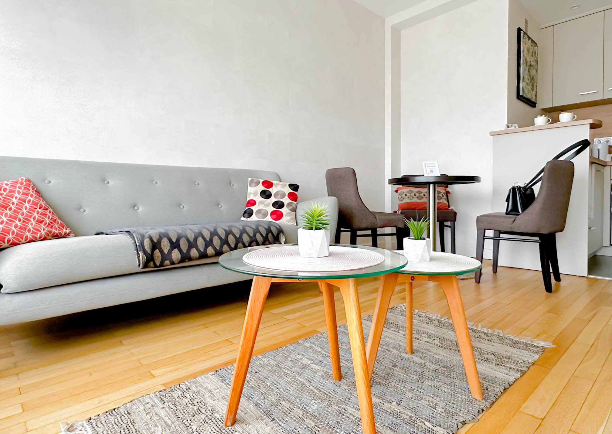 salon-appartement-central-park-annecy