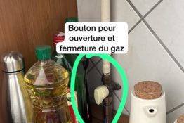 bouton-gaz-appartement-corbusier-annecy