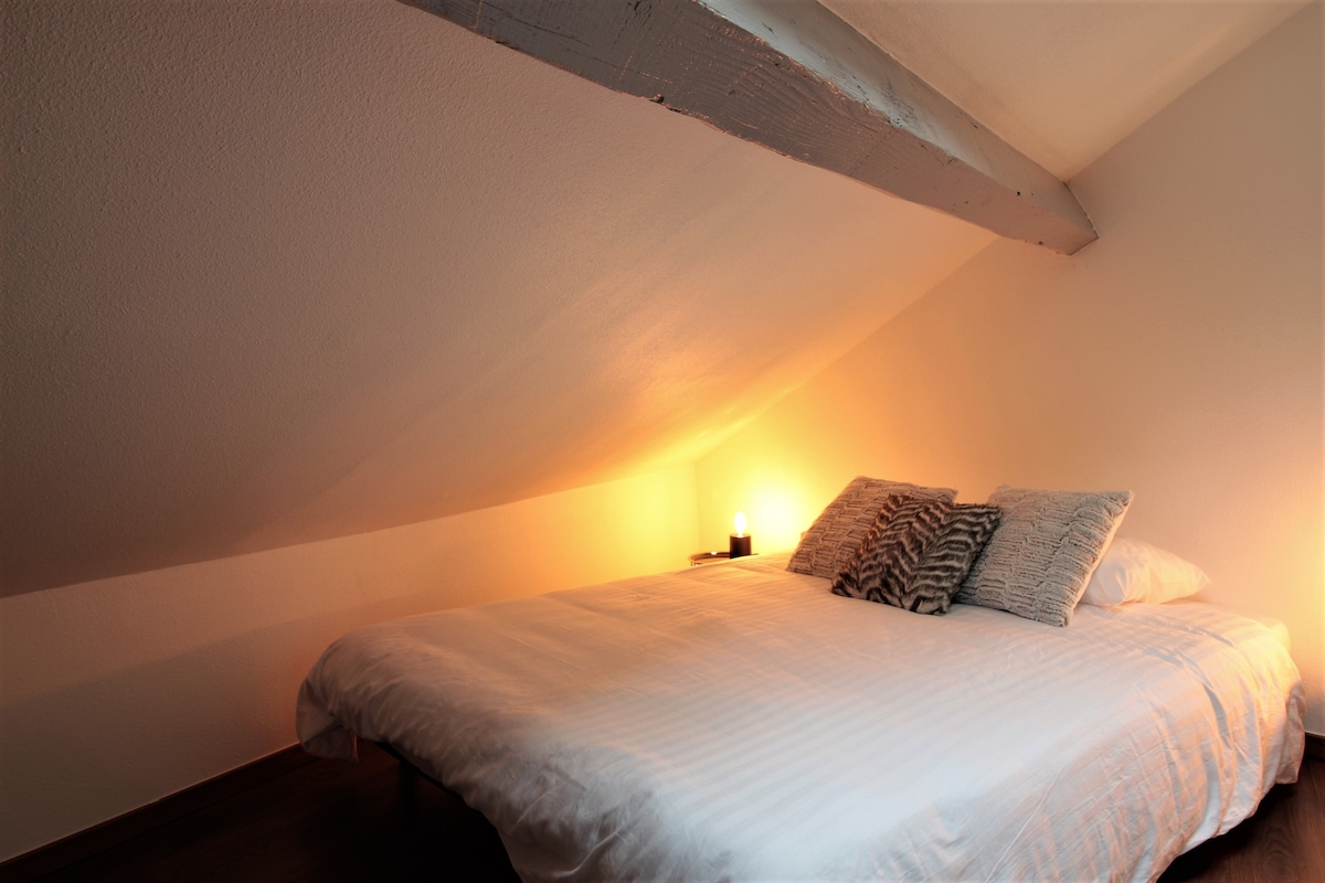 chambre-appartement-grenier-annecy