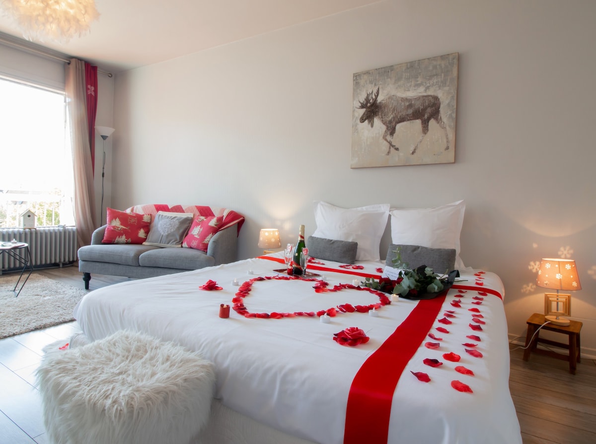 chambre-appartement-majestic-annecy