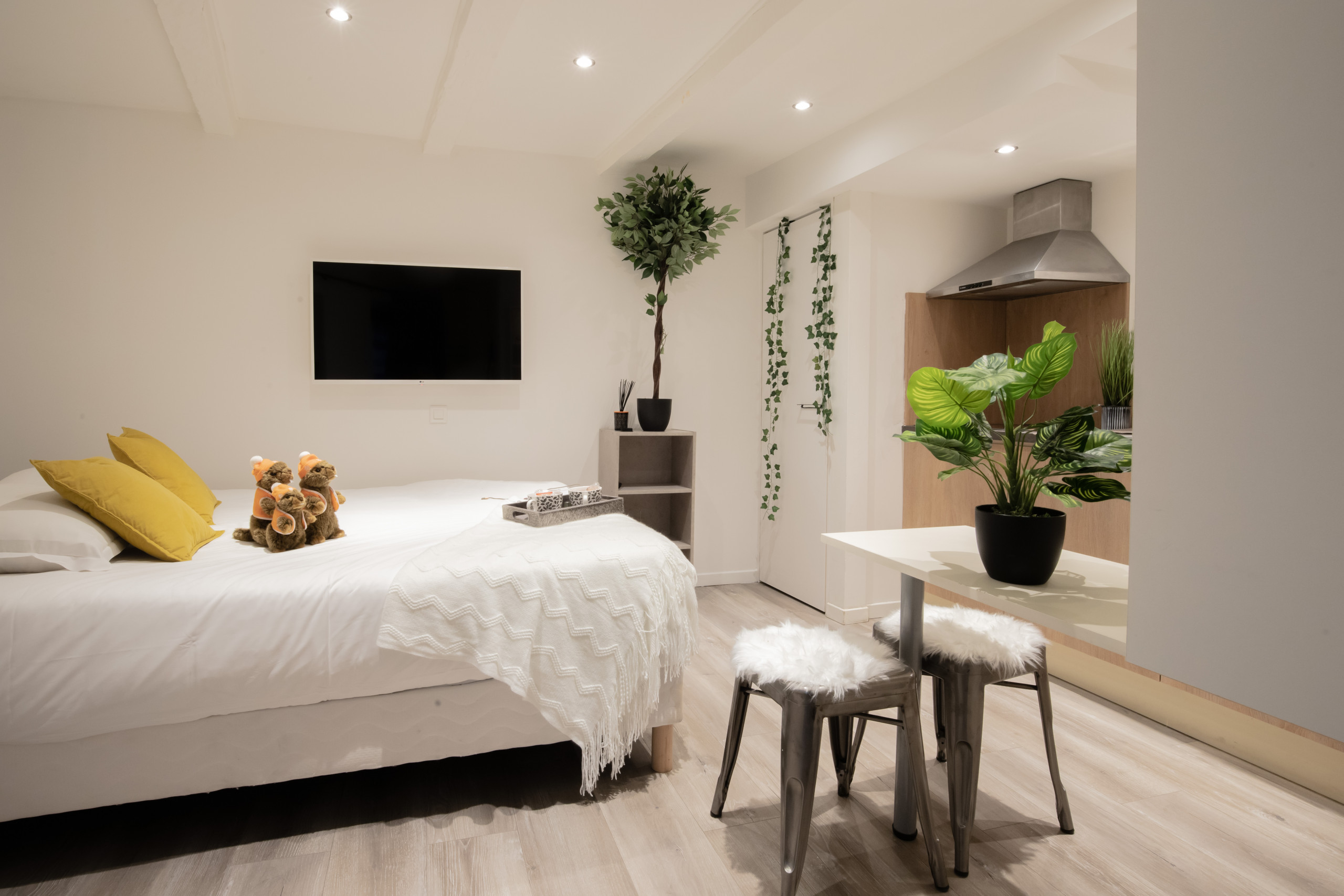 Chambre Marmotte chambre-appartement-marmotte-annecy
