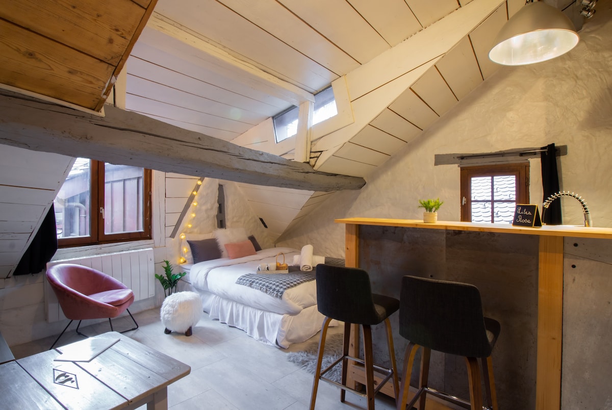 cuisine-appartement-lilas-rose-annecy