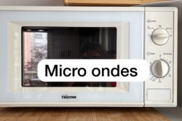 micro-ondes-appartement-ondine