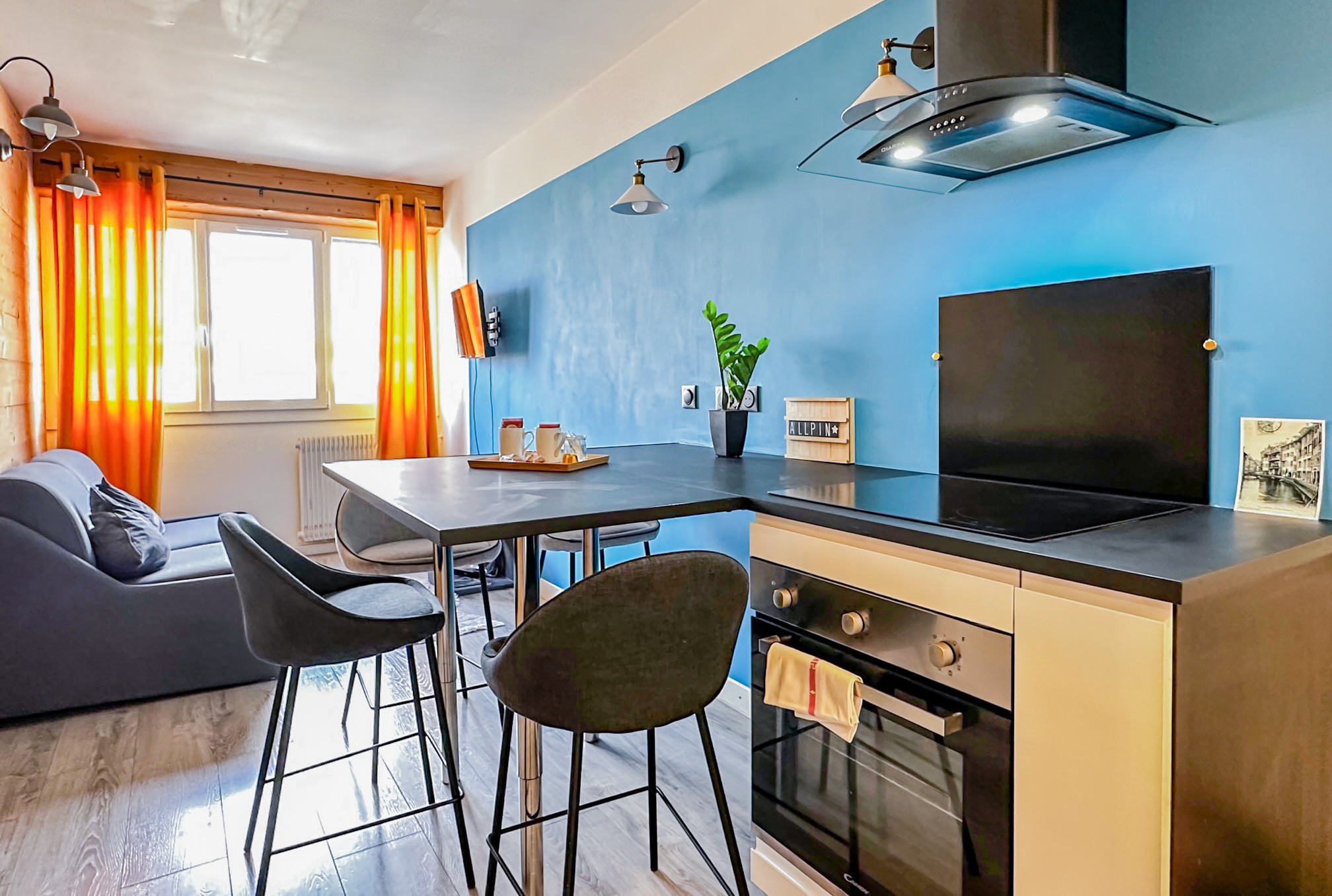 salon-appartement-alpin-annecy