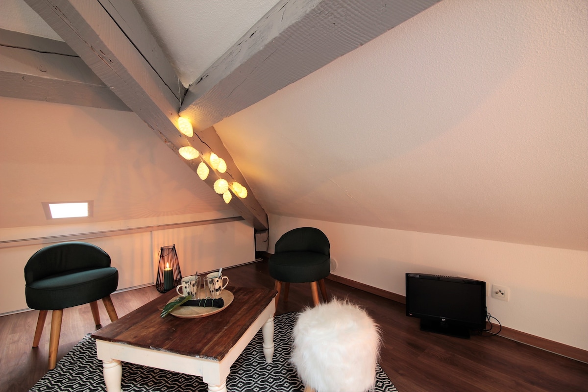Salon GRENIER salon-appartement-grenier-annecy