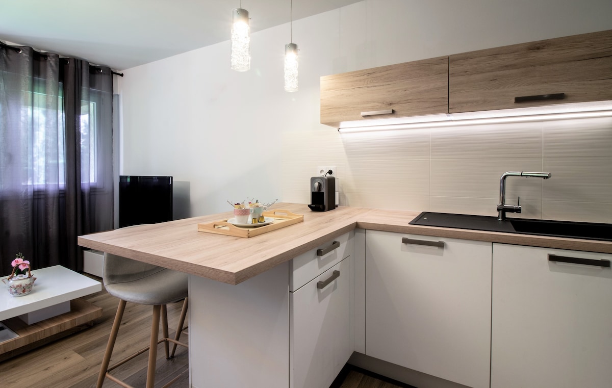cuisine-appartement-palm-beach-annecy