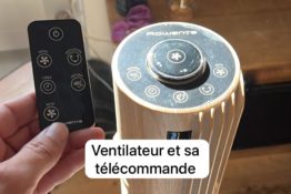 ventilateur-appartement-chez-violette