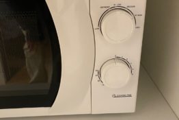 micro-ondes-appartement-balneo