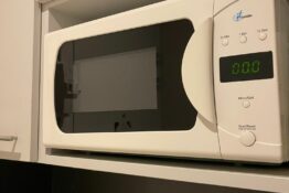 micro-ondes-ppartement-lake-view