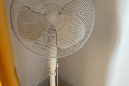 ventilateur-appartement-baobab