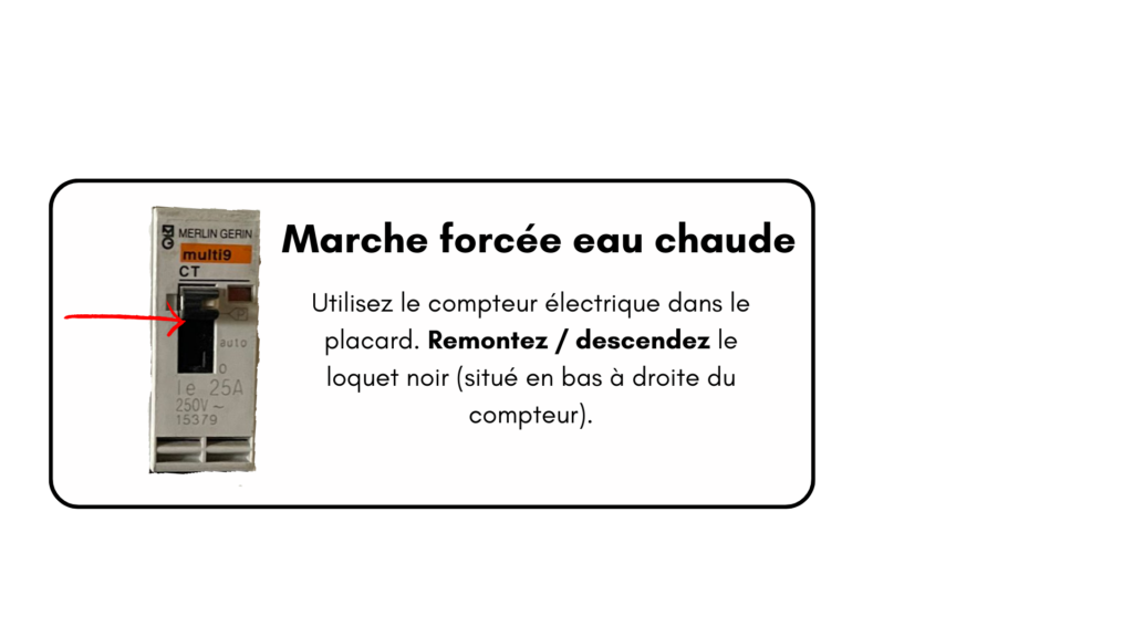 marche-forcée-eau-chaude-flamant-rose 