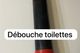 debouche-toilette-appartement-lotus