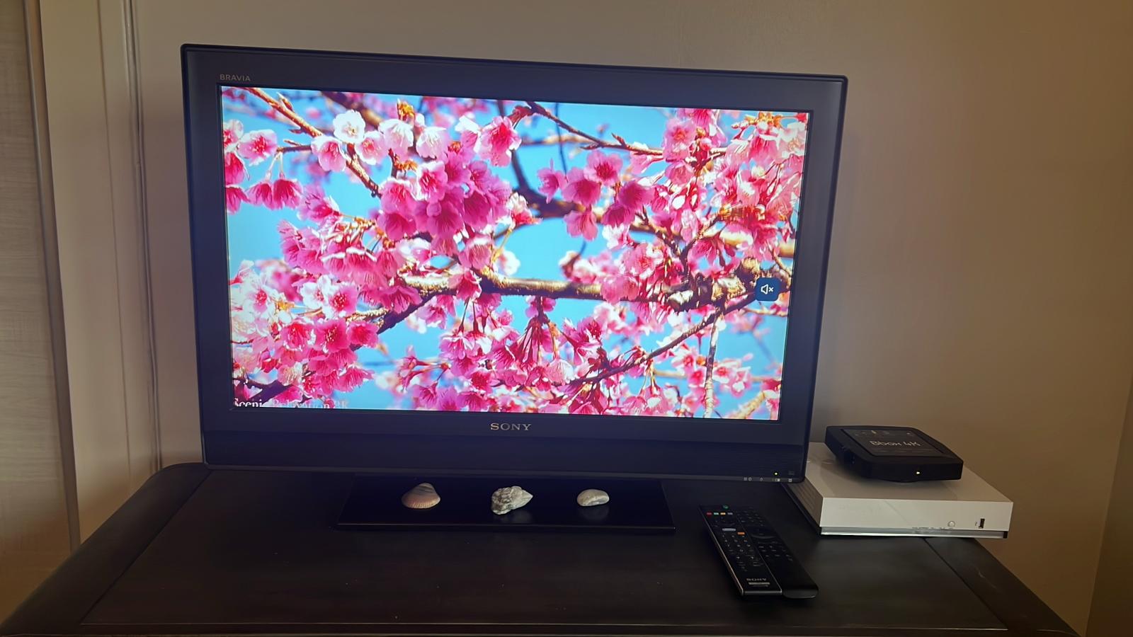 television-appartement-lotus