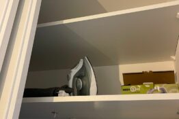 fer-a-repasser-appartement-black-swan