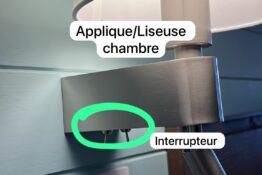 liseuse dauphin