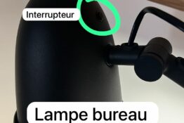 lampe bureau dauphin