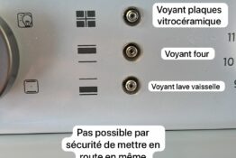 Bouton Voyant dauphin