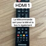 Télécommande dauphin