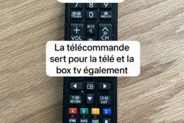 Télécommande dauphin