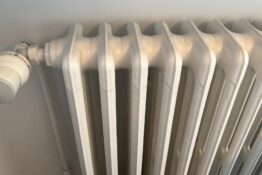 radiateur- dauphin