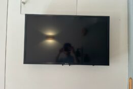 Télévision petit swan