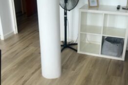 2 ventillateurs biloba