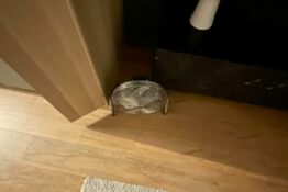 ventilateur 2