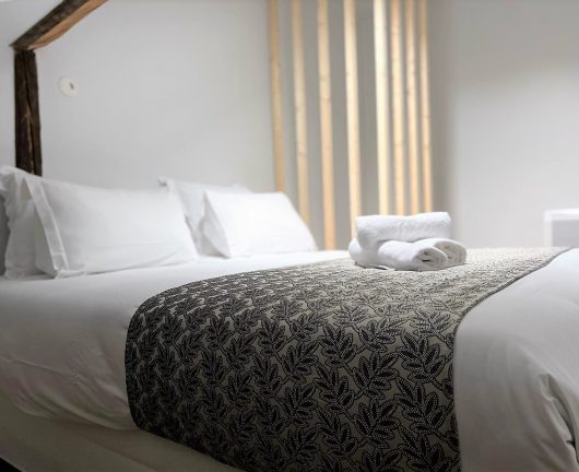 Chambre BALNÉO chambre-ppartement-balneo-annecy