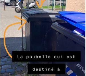 poubelles-appartement-petit-biscuit